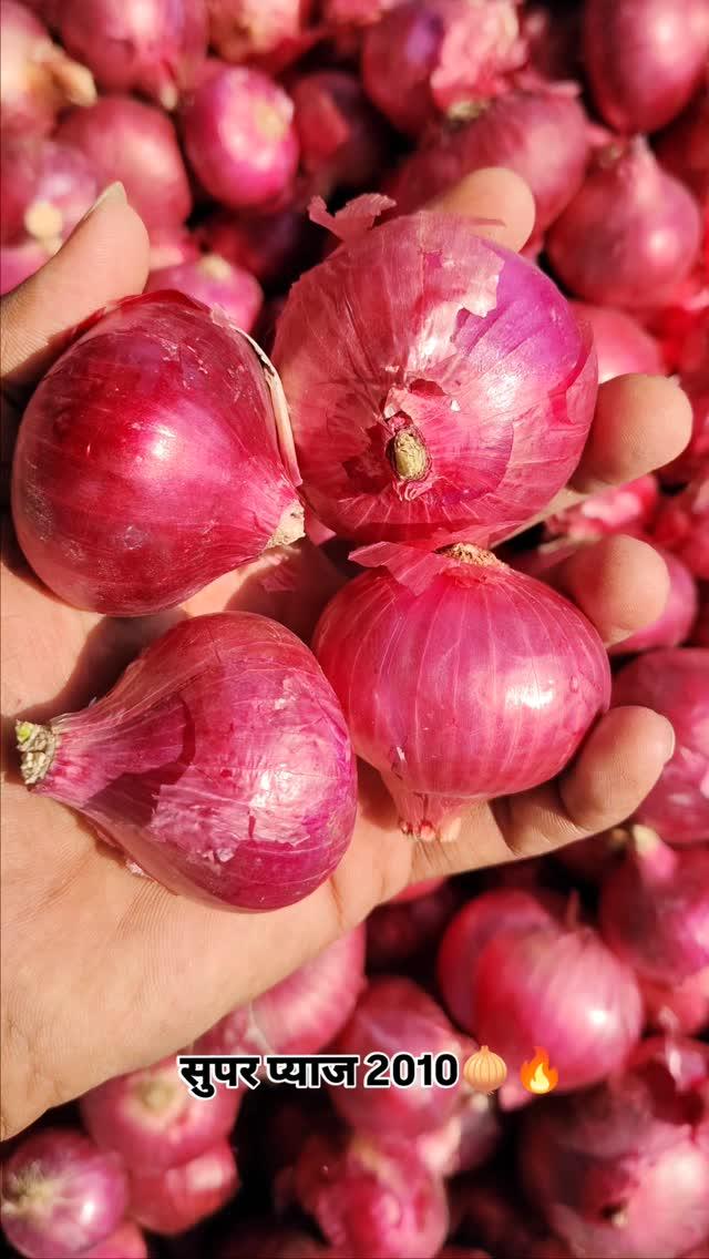 रतलाम मंडी भाव🧑‍🌾🌾🧄

Ratlam #Mandsaur #Reels #agriculture #ujjain #indore #mandi #mp #wheat #soya #garlic princeagro.in