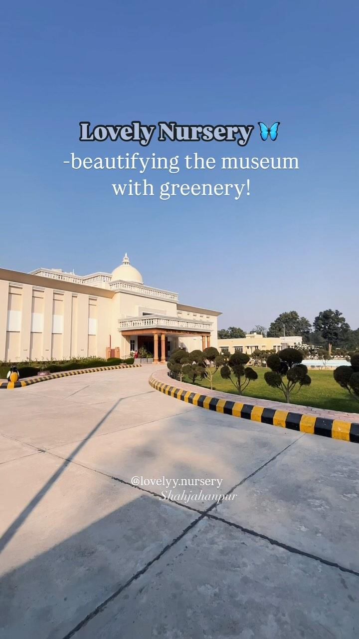 🌳 Lovely Nursery Bringing Life to Shaheed Museum, Shahjahanpur! 🌸

It’s our privilege to enhance the beauty of the iconic Shaheed Museum with greenery and vibrant blooms, creating a serene environment to honor the legacy of courage and sacrifice
Location: Shaheed Museum, Shahjahanpur
🌿 Bringing nature’s elegance to historic landmarks!
📲 Dm us for your personalised orders!