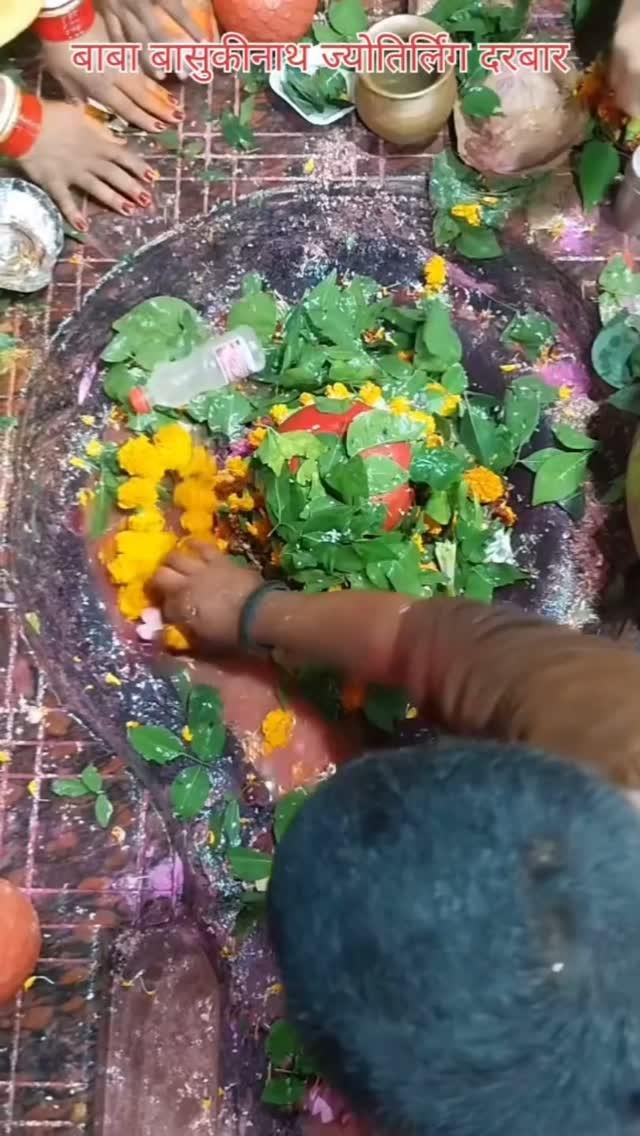 🌺🌿⚘️ बाबा बासुकीनाथ ज्योतिर्लिंग दर्शन 🌿🌺⚘️