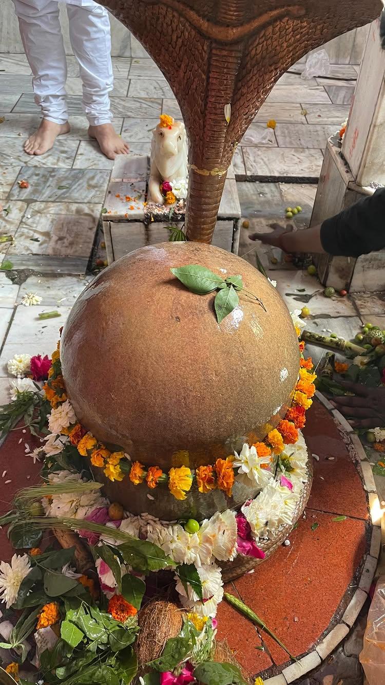 मेरे महादेव❤️…