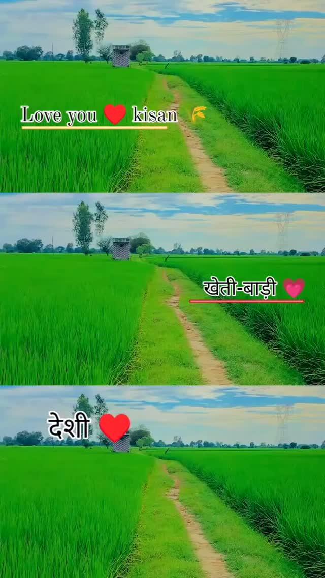 मेरे दोस्त मोहबब्त नहीं मेहनत करो सफलता एक दिन जरूर मिलेगी ☺❤💯✅
👳🌾_respect_🌱_farming_🌾👳