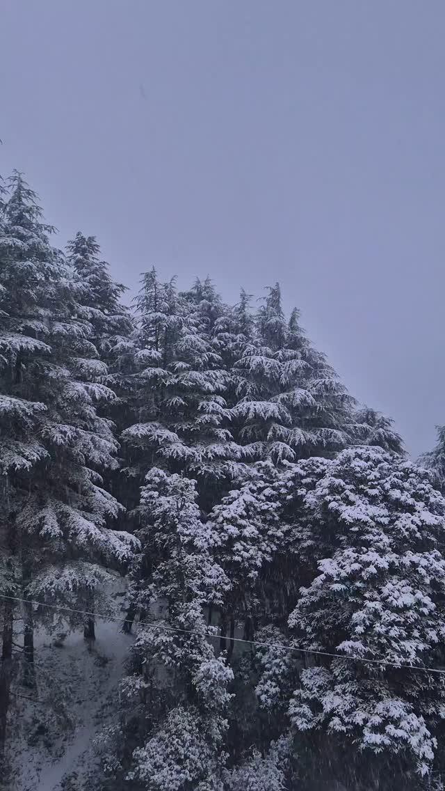 Snowfall 16-01-2025 at Haripurdhar 
Follow haripurdhar_town for more