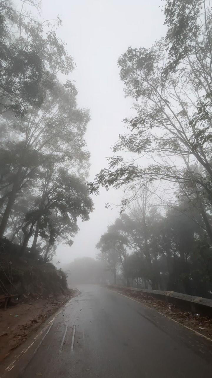 Rainy Day Araku Valley Road 🌳🌨️