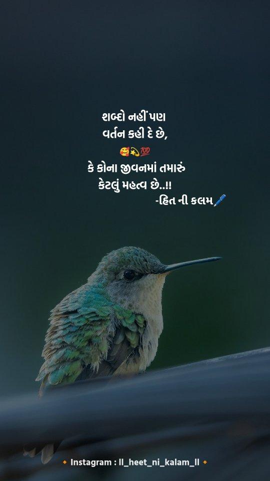 🌹પોસ્ટ ગમે તો like💞 comment 🖊️ અને હાં share કરવાનું તો ના જ  ભુલાય હોં
આવી અવનવી પોસ્ટ જોવા માટે પોસ્ટ notification on કરી દેવી
Follow for more:

🔹Instagram : ll_heet_ni_kalam_ll
🔹Instagram : ll_heet_ni_kalam_ll
🔹Instagram : ll_heet_ni_kalam_ll

#gujjureel
#gujrati 
#love_thoughts22
#thoughts
#premchetoche💕
#gujjujalwa
#reelsinstagram
#reelkarofeelkaro
#ahmedabad
#ametogtuvada
#shayri
#reelpost
#positivity
#positivevibes
#heart
#hearttouching💖
#surat
#rajkot
#indian
#gujjurocks
#gujratis

નોંધ : આ બધી પોસ્ટ માત્ર ને માત્ર મનોરંજન માટે જ છે તો કોઈએ કોઈના વિરુદ્ધ સમજાવી નહિ