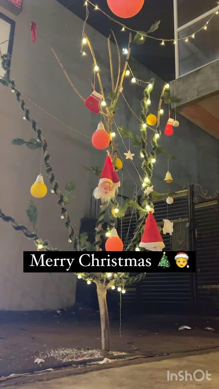 Wish you merry Christmas 🎄❤️