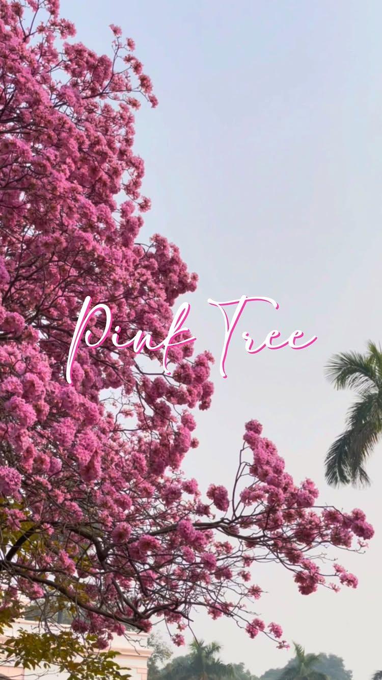 Pink Tree 🌸💗