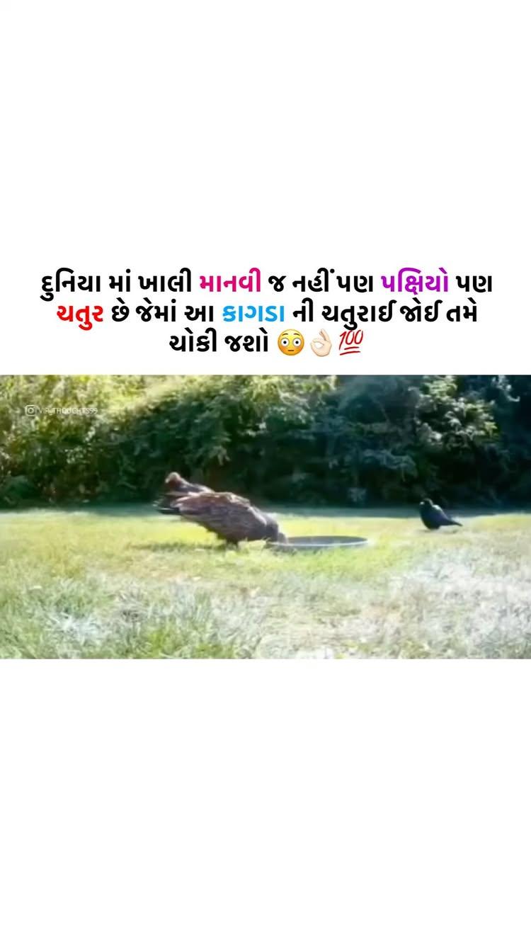 😳👌🏻

Like / Share / comment to motive Us ❤️

▶️ Follow Us gujju_commercian

gujju_commercian 
gujju_commercian 
gujju_commercian