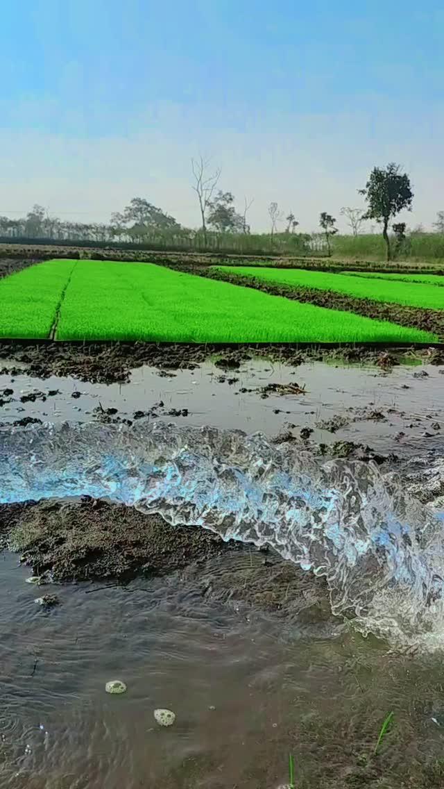 #farmer #किसान #farmlife #balaghat
🙏🙏🙏🌾🌾🌾🌾❤️🇮🇳