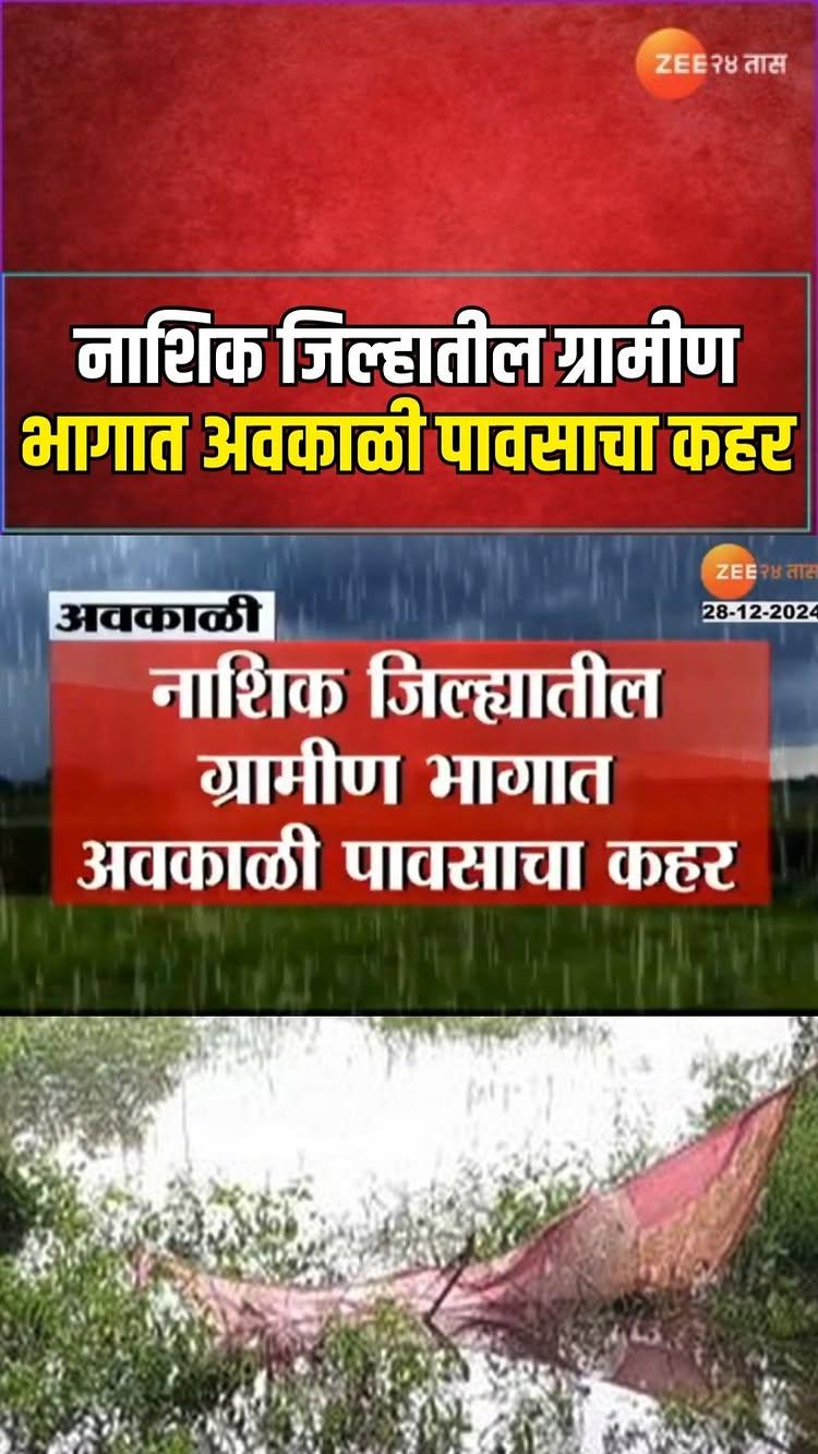 Nashik Rainfall | नाशिक  जिल्हातील ग्रामीण भागात अवकाळी पावसाचा कहर;पावसाचा रब्बी पिकांना फटका