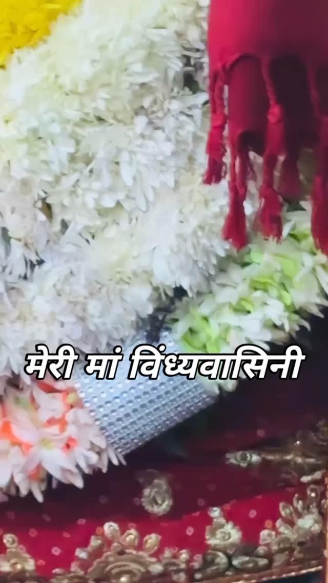 मेरी मां विंध्यवासिनी❤️🙏🌺