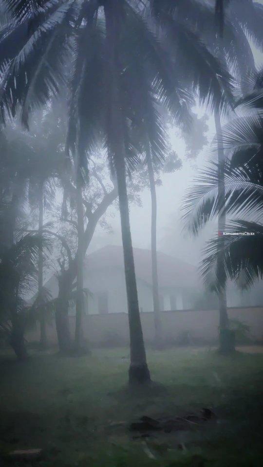 Konaseema🌴🌫️😍
✓