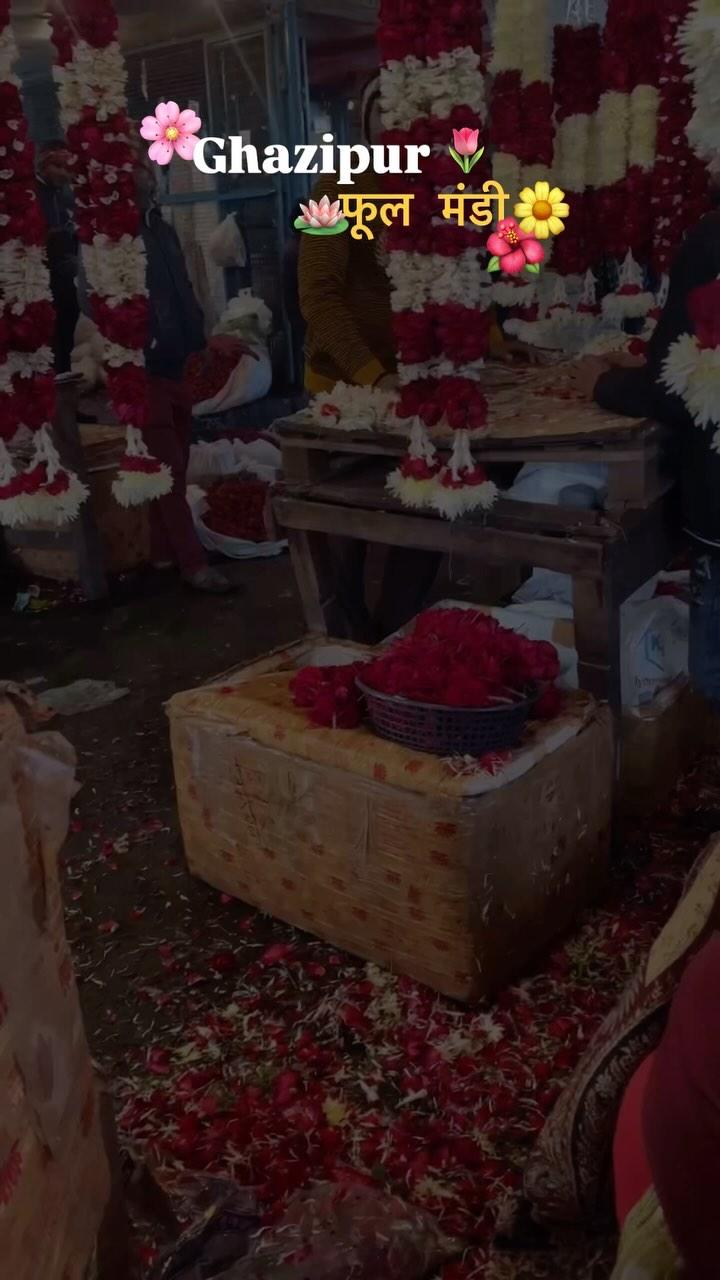 Beautiful morning 🥹🫶🏻🫶🏻🌸

[Ghazipur, flower market, phool mandi, garlands, flowers, garland making]