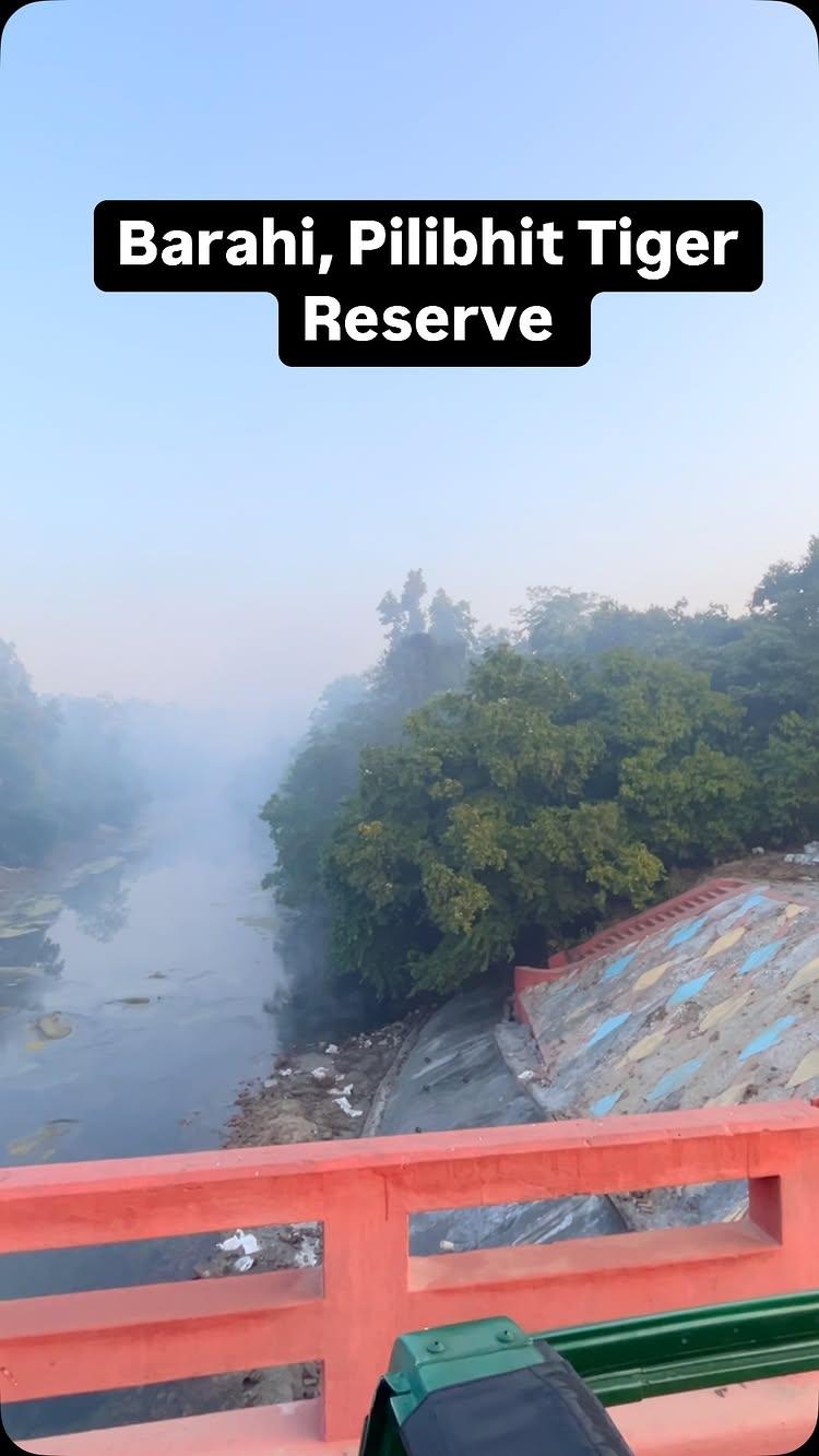 Enjoy morning beauty of Barahi, Pilibhit Tiger Reserve
After covering Kachhi Patri we entered this place
I witnessed one of the hidden marvel
There are two water canals Cris crossing each other
This is seeing to believing
This was constructed during British time and is still going strong
Wow… truly incredible