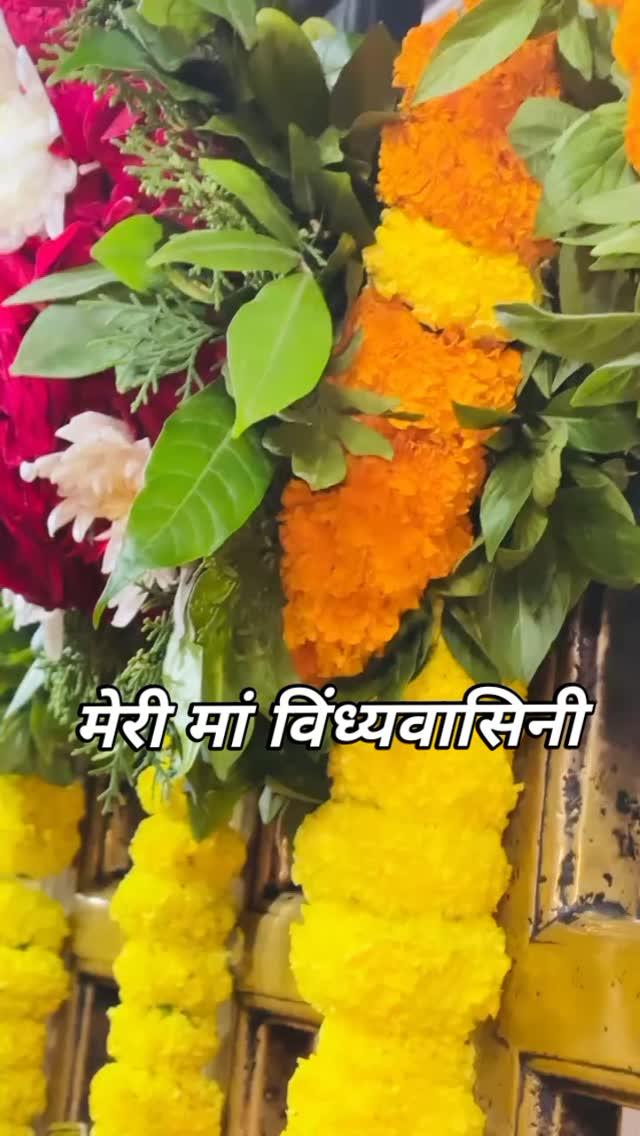 मेरी मां विंध्यवासिनी❤️🙏🌺