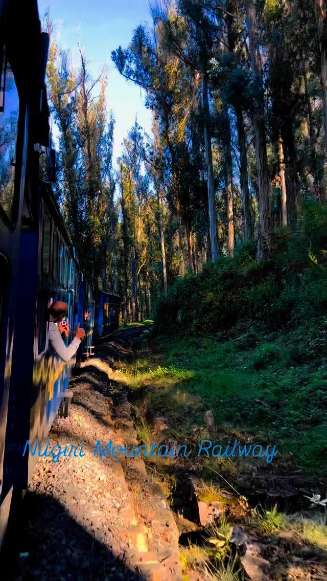 Chugging through the misty hills of Nilgiris 🌄🚂 Witnessing the magic of nature on the iconic Coonoor toy train – where every turn feels like a postcard moment