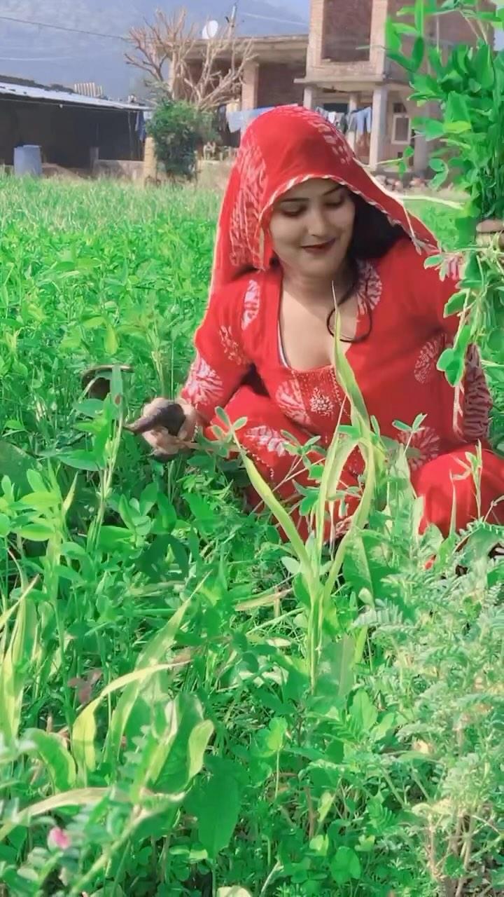 Chhori ❤️Ghani ❤️Haseen Se ❤️…
#viralvideos #viralreels #instgramvideo #instgramviral #instgram #instgramviralreels #instgramviralvideo #intgramtrending #tredig #tredigreels #tredigvarilvideo #tredigsong #span #alwar #rajasthan #