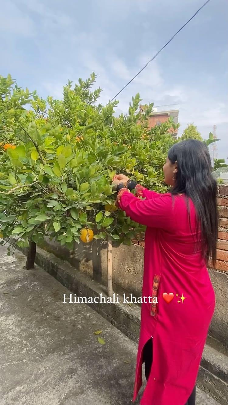 Himachal ki thandi hawa aur ghar ka traditional Himachali Khatta – perfect winter bliss! ❄️🌿 

🌱🍋This organic delicacy is made with kimb/khatta (a Himachali citrus fruit), hand-mixed with dhaniya (coriander leaves), onion greens, green chilies, jaggery, sugar, and a pinch of salt for the ultimate burst of tangy, sweet, and spicy flavors
Mash the ingredients, mix it with love, and let the aroma of Himachali tradition fill your home
This dish is zero waste, sustainable, and a true taste of Himachal’s organic heritage
Why we love it? 
💚 A sustainable recipe using fresh, seasonal produce 
💚 A perfect way to fight the winter blues 
💚 It’s pure love in a bowl – local, organic, and full of memories 

Try it out and let us know how it turned out for you! 💬👇