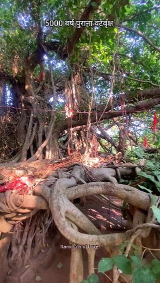 5000 years old Siddh Baba temple in sohagpur