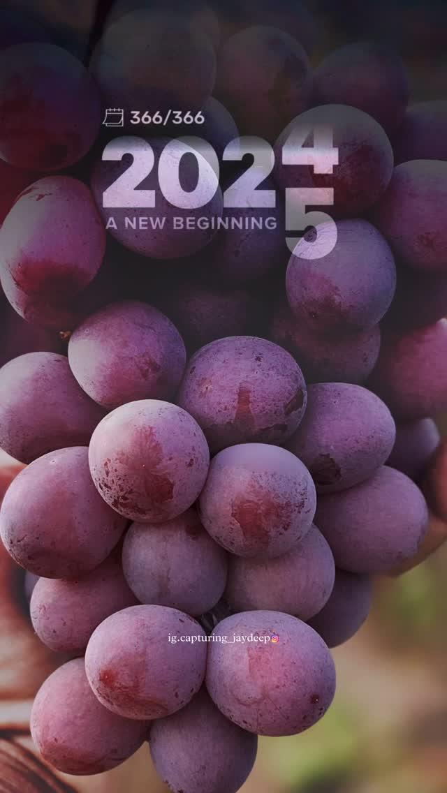 A NEW BEGINNING 2025🔜🍇