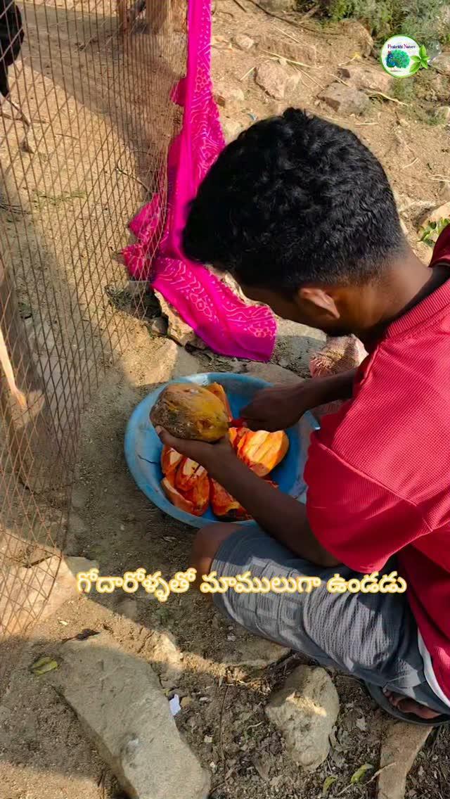 Taggedelaa 🔥😂 

prakrithi_nature 
Voice courtesy:bhimavaram_ammaie