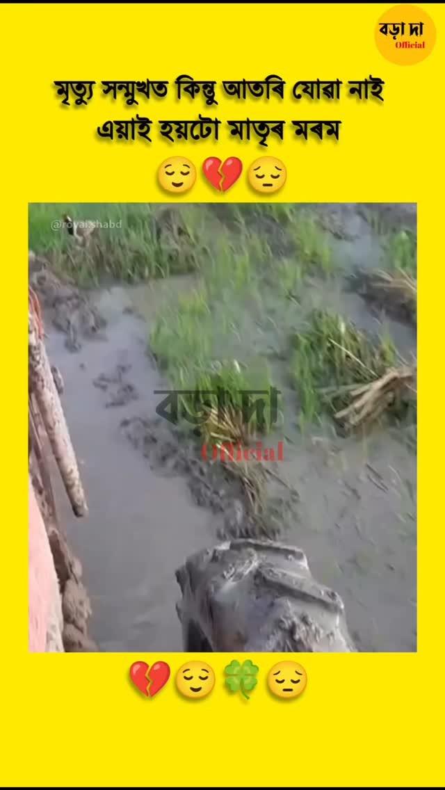 📌 মাতৃৰ হ্নদয় 😌 ।