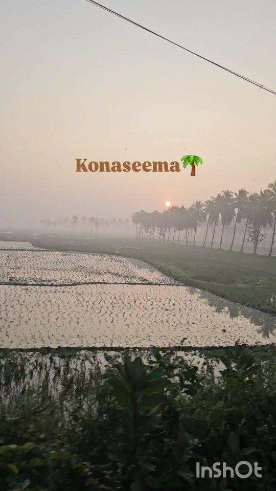 Konaseema🌴✨️