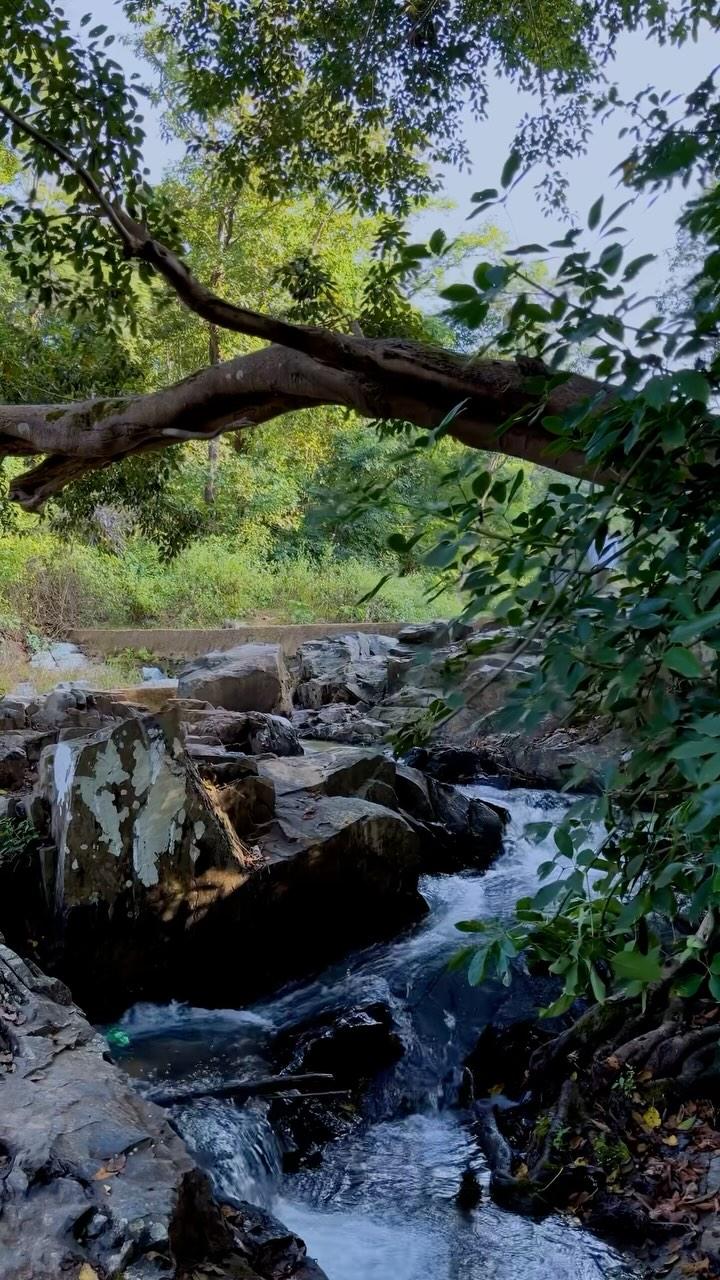 Chendra🌸 Ambikapur