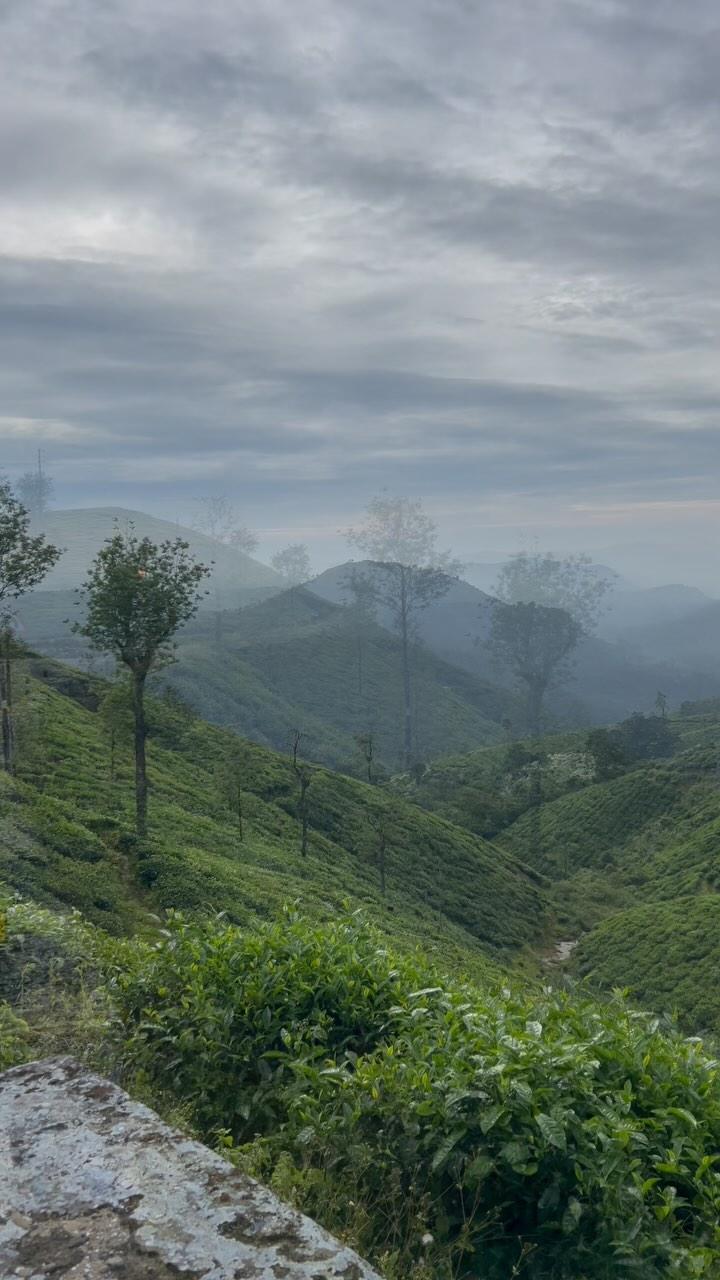 📍SEVENTH HEAVEN 

Location 📍#valparai 

Follow me the_kovai_traveller