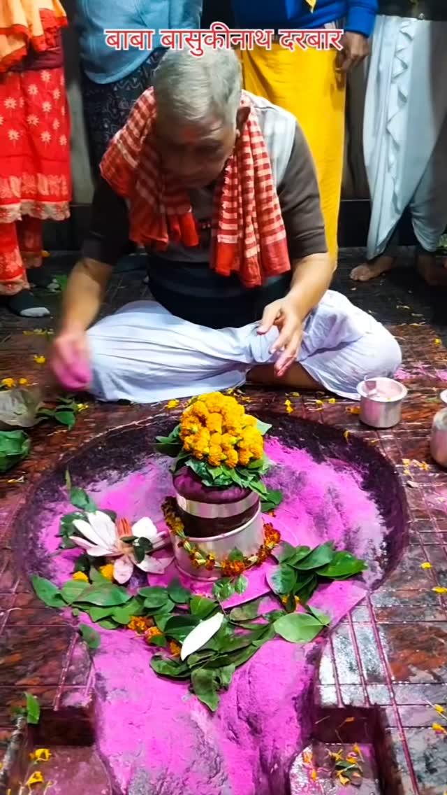 🌺🌿⚘️ बाबा बासुकीनाथ ज्योतिर्लिंग पूजन 🌿🌺⚘️