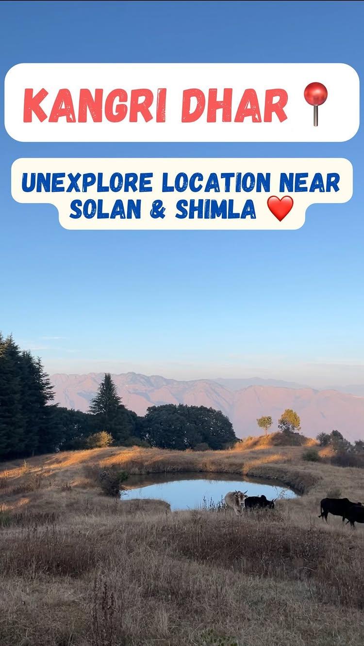 Kangri Dhar📍| unexplored location near Solan & shimla |