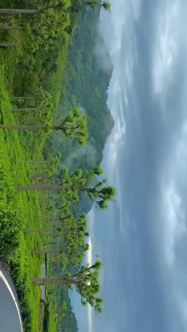 📍Kotagiri, Nilgiri, Tamilnadu തമിഴ്നാട് സംസ്ഥാനത്തിലെ നീലഗിരി ജില്ലയിലെ ഒരു മലമ്പ്രദേശവും, താലൂക്കുമാണ് കൊത്തഗിരി
നീലഗിരി മലനിരകളിലെ ഏറ്റവും വലിയ ഹിൽ സ്റ്റേഷനുകളിൽ ഒന്നാണിത്
6,400 അടി ഉയരത്തിലാണ് കോത്താഗിരി നീലഗിരിയിൽ സ്ഥിതിചെയ്യുന്നത്.കോടനാട് വ്യൂ പോയിൻ്റ്, എൽക്ക് വെള്ളച്ചാട്ടം, സെൻ്റ് കാതറിൻ വെള്ളച്ചാട്ടം, ലോംഗ്വുഡ് ഷോല( നിബിഡമായ വനം ), രംഗസ്വാമി കൊടുമുടിയും തൂണും, നീലഗിരി മ്യൂസിയം  ഇതെല്ലാം ആണ് ഇവിടത്തെ മറ്റുള്ള ആകർഷണങ്ങൾ.ഇവിടെ ധാരാളം ട്രെക്കിങ്ങ് അവസരങ്ങൾ ഉണ്ട്
ഇവിടത്തെ ട്രെക്കിങ്ങ് തേയിലത്തോട്ടങ്ങളാലും, മനോഹരമായ ഹരിതഭംഗികളാലും, പച്ച പരവതാനി വിരിച്ച പുൽമേടുകളാലും, നദികളാലും സമൃദ്ധമാണ്.കോത്തഗിരിയിൽ താമസ സൗകര്യങ്ങൾ ധാരാളമുണ്ട് ; നിരവധി ടൂറിസ്റ്റ് ലോഡ്ജുകൾ, അതിഥി മന്ദിരങ്ങൾ, ഹോട്ടലുകൾ എന്നിവ ഇവിടെ ലഭ്യമാണ്
മേട്ടുപ്പാളയത്തു നിന്ന് റോഡ് മാർഗ്ഗം കൊത്തഗിരി ബന്ധിപ്പിച്ചിരിക്കുന്നു
ഊട്ടി, മേട്ടുപ്പാളയം, കൂനൂർ, കോയമ്പത്തൂർ, ട്രിച്ചി, തിരുപ്പൂർ, ഈറോഡ് എന്നിവിടങ്ങളിൽ നിന്ന് ഇങ്ങോട്ട് ബസ്സ് സർവീസുകൽ ഉണ്ട്
ഇവിടെ നിന്നും ഊട്ടിയിലേക്ക് ഏകദേശം 20km ദൂരമാണുള്ളത്.VC:framesofpk ✍️:yathrapremam⚠️Do not copy caption without permission⚠️