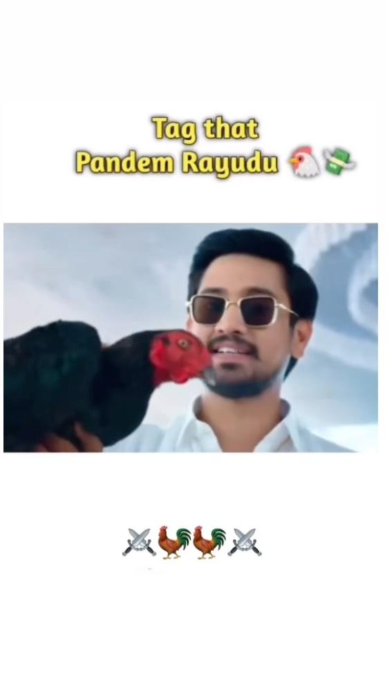 Kodipandalu 🐓🐓