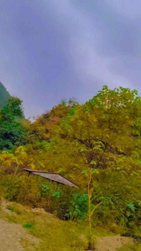 #nature

viralvideos #followforfollowback #uttarakhand #viral #garhwal #explore #trendingreels 
#pahadi #nature #facebook #youtube 
#explorepage✨#viralpost #dehradun
#chamoli
instagram

Video Credit - iamhimanshupal