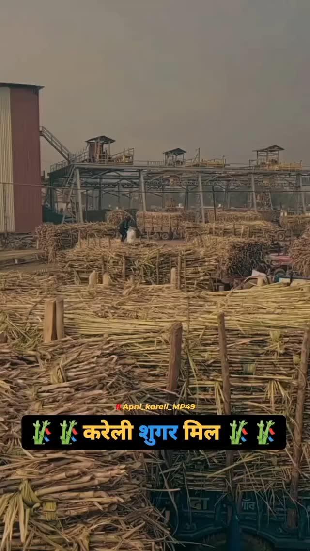 kareli sugar mill👌👉

#शुगरमिल

# sugarcane

#kareli

#narsinghpur

♫apni_kareli_mp49