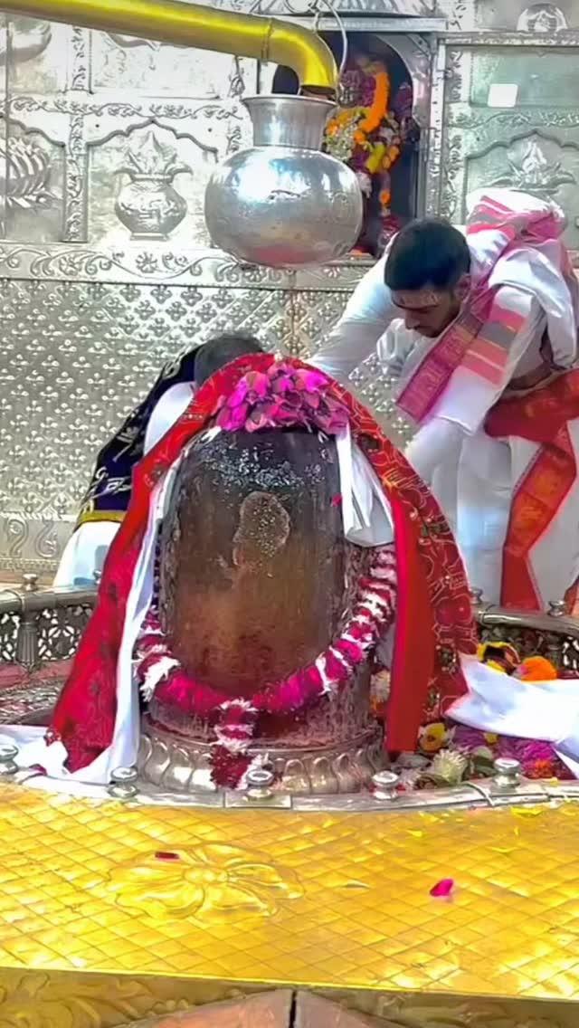 🙏🌻✨ शिव ✨🌻🙏