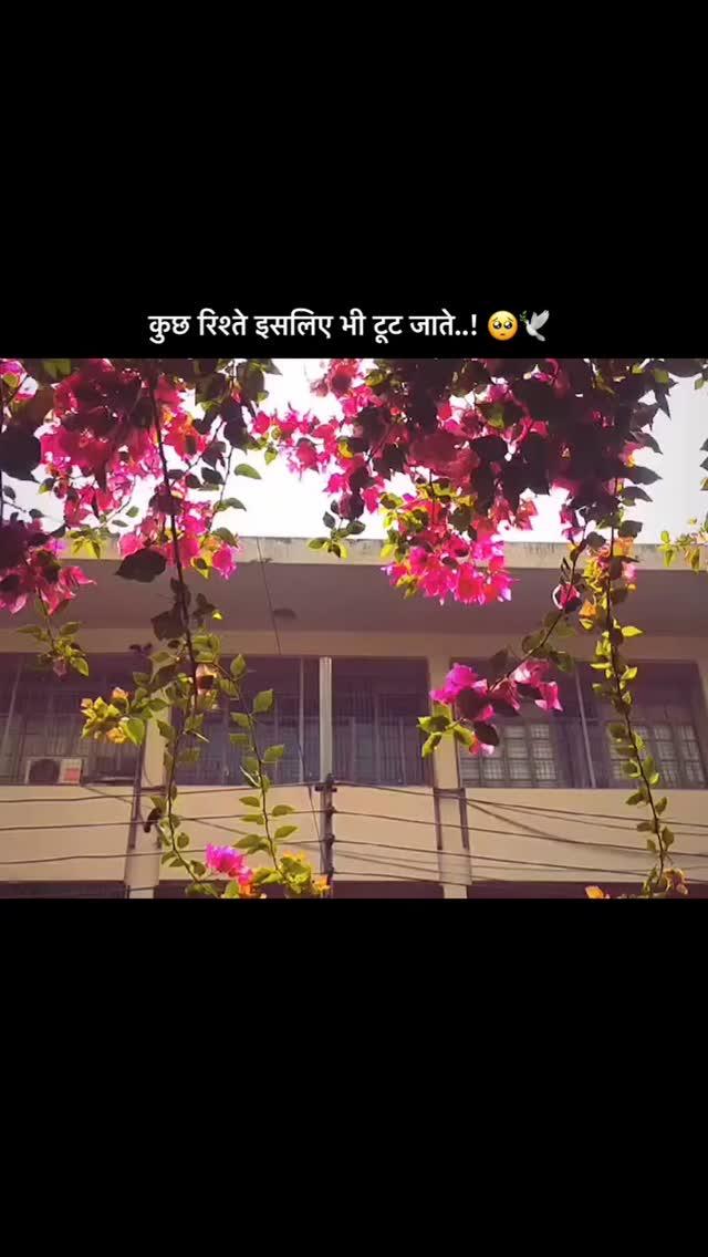 कुछ रिश्ते तोड़ना पड़ता है 🌿🍃🌿🍃