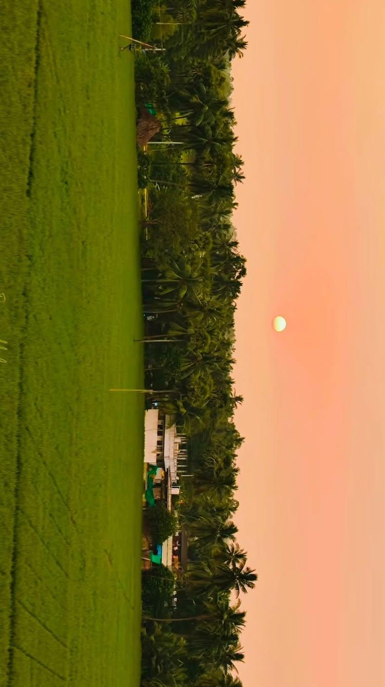 Winter Mornings in Villges🌾💗😍

ourgodavaridistricts 
#godavari #westgodavari #eastgodavari #konaseema #konaseema_andalu #nature #dunrise #love #beautiful #beauty #prakruti #andhalu #palletooruandhalu #andhrapradesh #india #newreels ❤️