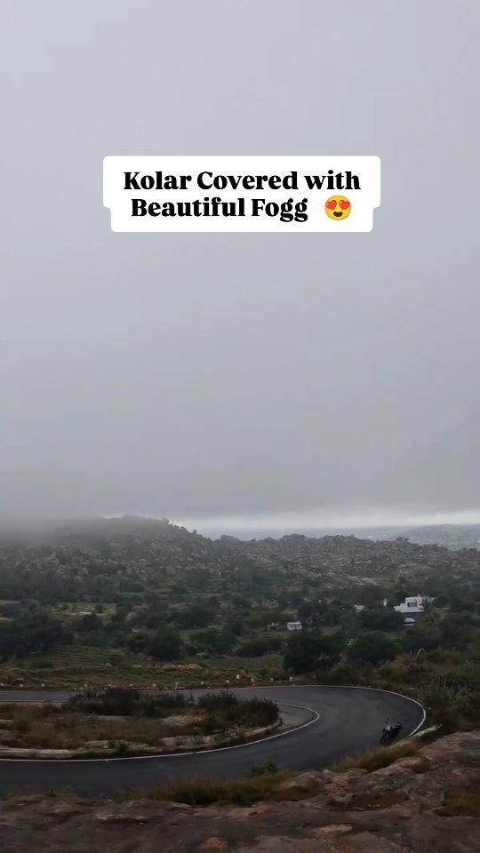 Beautiful fog 🌫️