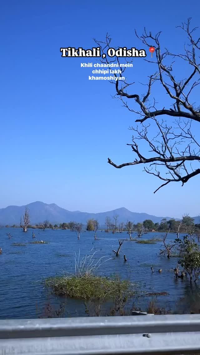 📍Tikhali Dam 💧🌊❤️
"Where tranquility meets the horizon"—A hidden gem in Odisha 🏝️🇮🇳

The calm waters of Tikhali Dam create the perfect backdrop for relaxation and adventure 🌄❤️