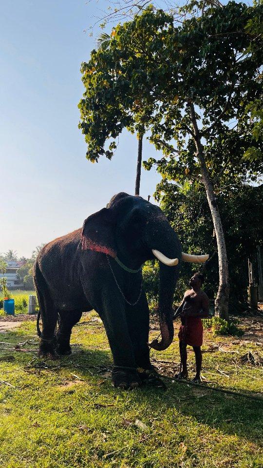 പുതിയ സീസണിലേക്ക് പത്മതീർത്ഥം സൂര്യനാരായണനും സാരഥി വിവേകും 🔥😍
 
Video credit🎥photo credit📸:(posted contents belongs to the respective owners)

Photo credit ( )
Disclaimer © credit owened by respective content creaters
please contact credit issues DM gajarajashathriyan

gajarajakshathriyan sooryaputhran__ puthupally_kesavan_official gajarajathattakam soorya_puthran_karnnan kombans_official aana_yum_aanakarum_ karilokham k_a_r_n_a_n_2.0 aana_chandham_ kl52elephantlover aanapremi_2020 aanapremisangham_althara aana.peruma _aanakeralam gajaraja_premisangham aanapremisangam_pengamuck
die__hard_karnan__fan
thrissurinsta
thechikkottukavu_raman aana.peruma

Follow gajarajashathriyan
🔹🔸🔹🔸🔹🔸🔹🔸🔹🔸🔹🔸
⚜️ Hashtag #gajarajakshathriyan
🔹🔸🔹🔸🔹🔸🔹🔸🔹🔸🔹🔸
⚜️ tag gajarajashathriyan

This photo and audio is not owened by ourselves the copy right credit goes to to respective owners
This video is not used
_____________________________________________________
 👇👇👇👇👇👇👇👇👇👇👇👇
For more live updates follow
gajarajashathriyan
____________________________________
[