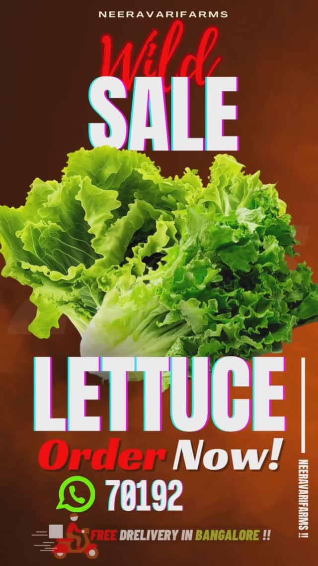 🎉 2025 1st Sale Offer Alert! 🎉
ಹೈಡ್ರೋಪೋನಿಕ್ಸ್ ಬೆಳಸಿದ GREEN LETTUCE ಈಗ ಕೇವಲ ₹99 ರಲ್ಲಿ! ಆದರೆ NOOOO NOOOO ❌ !!!!
ಹೆಚ್ಚಿನ ಖುಷಿಯ ಬೆಲೆಗೆ ₹75 ಮಾತ್ರ / 75 ONLY !! 😍

💚 100% Pesticide-Free | Fresh & Crisp | Nutrition-Packed
ಆದ್ಯತೆಯ ಆಹಾರದಿಂದ ನಿಮ್ಮ ಹಸಿರು ತಟ್ಟೆ ಗೆ ಮಜಾದನ್ನು ಸೇರಿಸಿ!

🌿 Why Choose Hydroponics Lettuce?
	•	No Chemicals, Only Care: Our lettuce is grown using nutrient-rich water, ensuring it’s pure and healthy
Better for You: Packed with freshness, vitamins, and crunch like no other
Better for the Planet: Saves water, no soil used, and eco-friendly farming!

📅 Hurry Up! Offer valid for a limited time only!
📍 Visit neeravarifarms to place your order now
Don’t miss this exclusive launch sale! 🚀

Taste the difference today! 💚