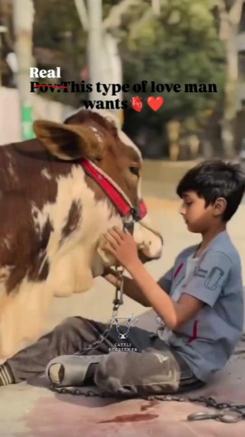 This type of love men want
cattleshoqeenpk