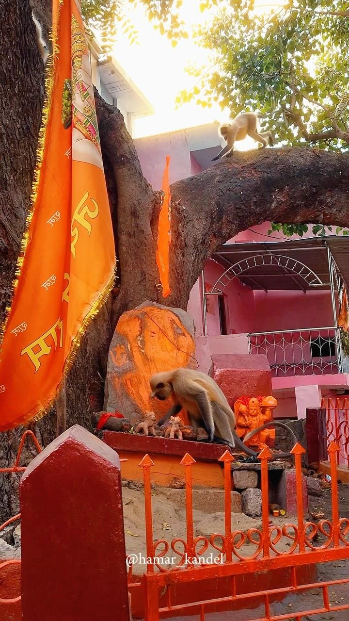 Jay Bajrang Bali 🧡🚩

Follow for more hamar_kandel