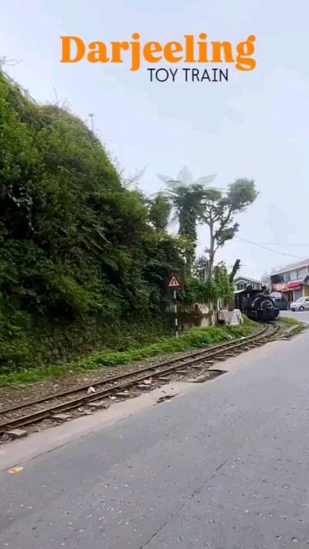 Darjeeling Queen of Hills 🌱♥️