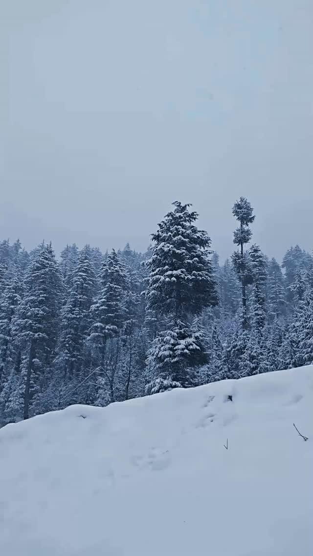 winter ❄️❄️
*

*
#kashmir #instagram #trending #reels
#instagood #love #india #kupwara
#instalove
#reelsviral #trendingsong #trendingaudio
#cinematic #capcut #edit #trendingreels
#trendingreel #explore #explorepage
#viralvideos
*