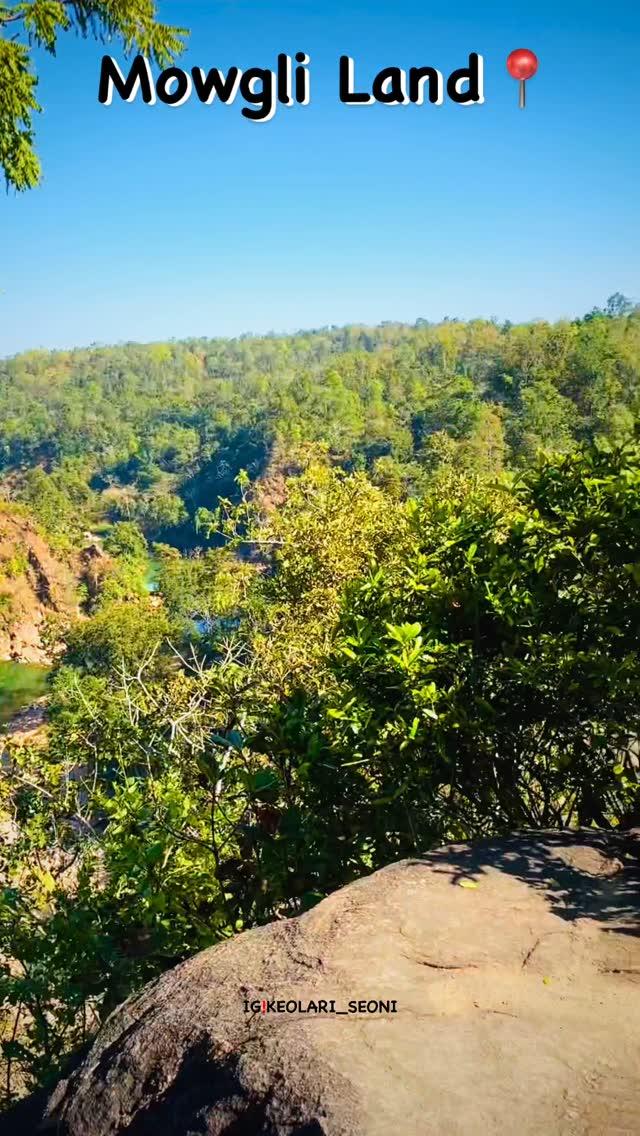 MOWGLI LAND AMODAGAD🌿🌳⛰️