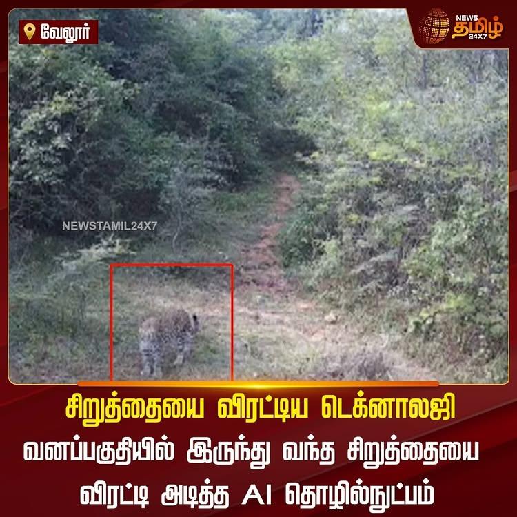 சிறுத்தையை விரட்டிய டெக்னாலஜி