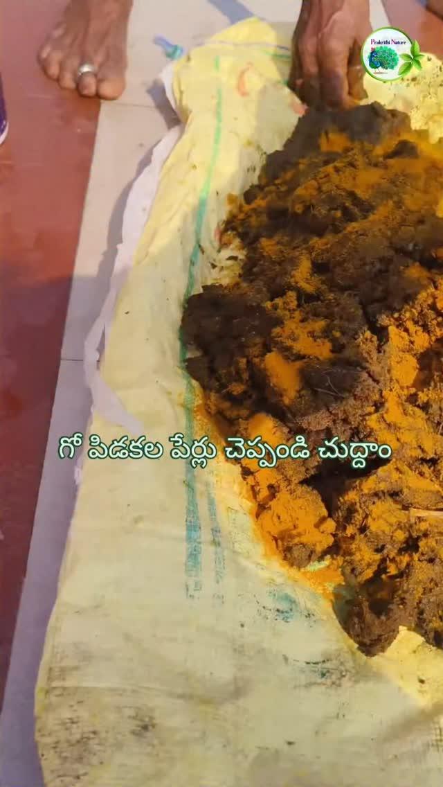 గో పిడకల పేర్లు చెప్పండి చుద్దాం

prakrithi_nature