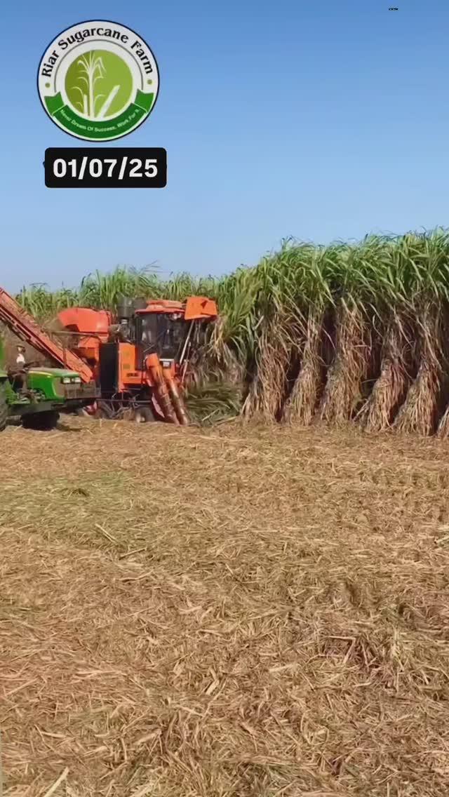 Sugarcane wale 🤟