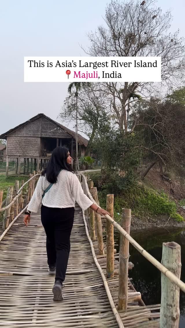 Plan your stay here, explore the UNEXPLORED!

Majuli offers beautiful traditional bamboo cottages, which is a must experience🙌🏾

[Majuli, Assam, Bamboo cottages, Travel, Explore, Nature photography, Northeast, Beautiful destinations]